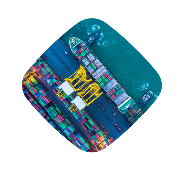 Marine Cargo & Freight Forwarder Liability